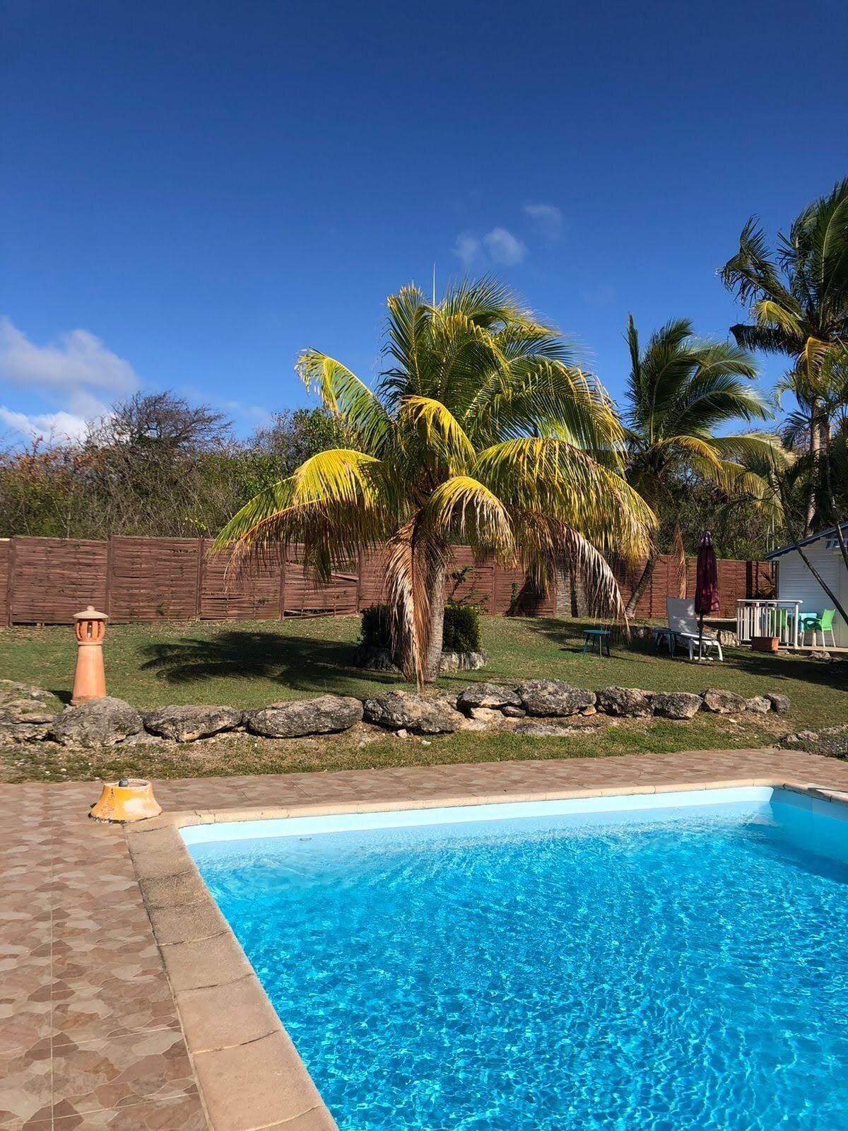 Outdoor pool, pool umbrellas, pool loungers