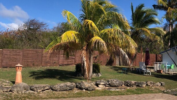 A swimming pool with clear blue water, surrounded by a stone border. There are palm trees and a wooden fence in the background. - les gîtes hoprins (Le Moule)