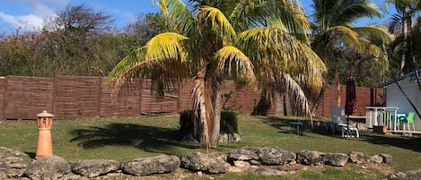Piscine extérieure, parasols de plage, chaises longues