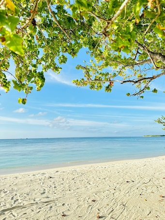 Exterior. YUVi blue maldives