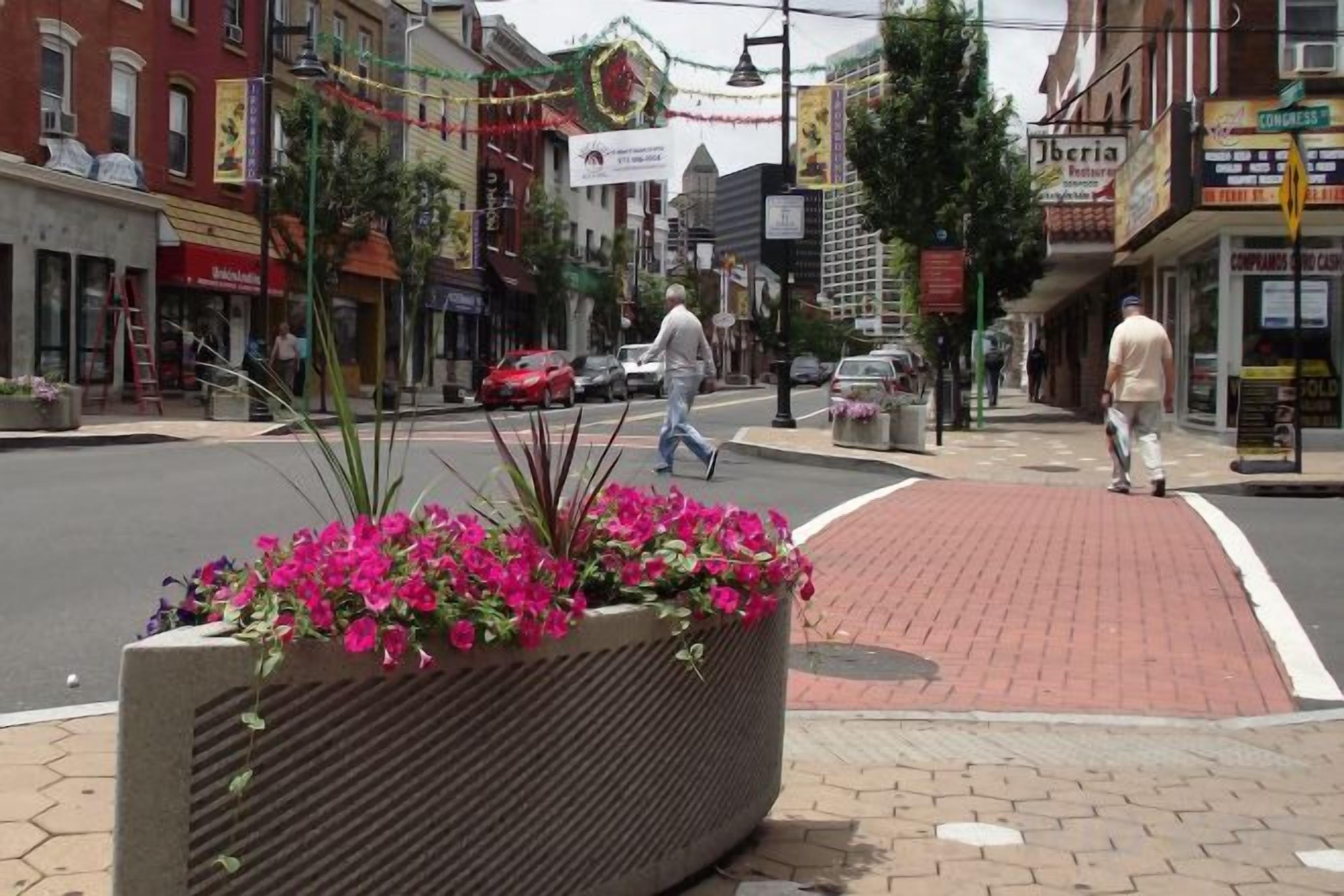 A street with a pedestrian crossing, a flower planter, and storefronts.