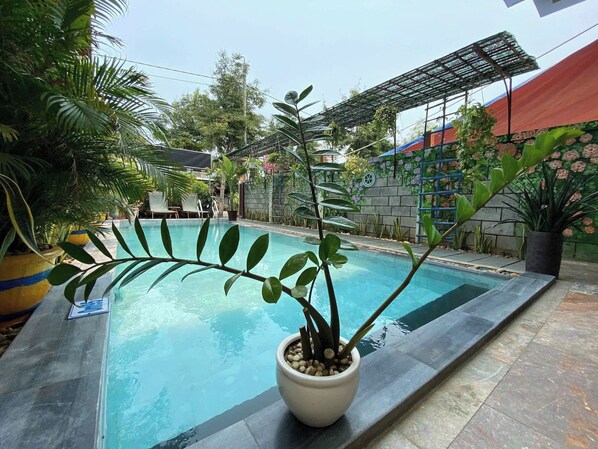 حمّام سباحة خارجي، مظلات على حمّام السباحة، مقاعد للتشمس