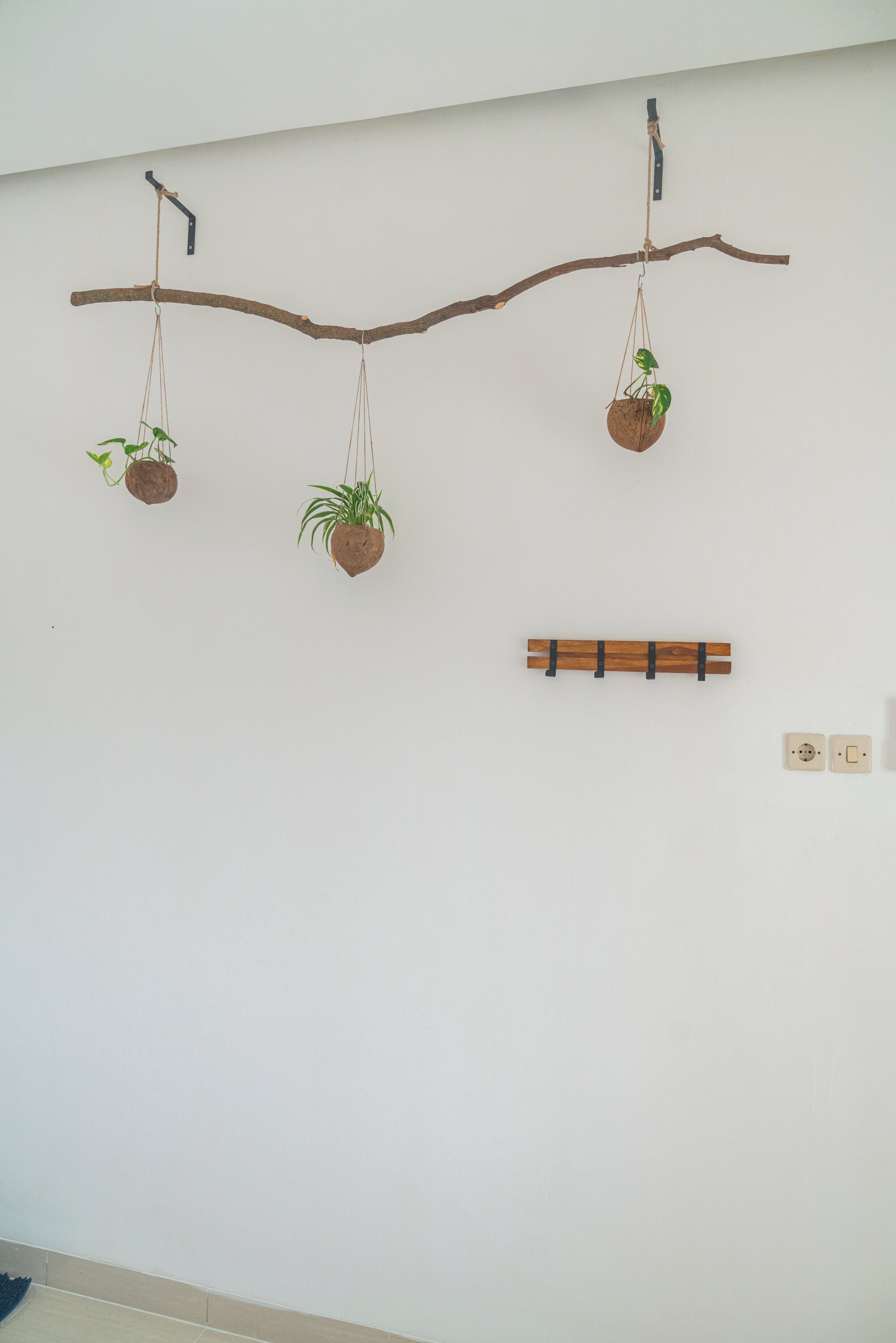 A wall-mounted branch with three hanging planters.