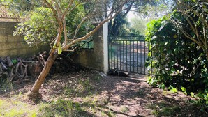 A gated area with a tree and a concrete wall. - Summer rental Ajaccio (Ajaccio)