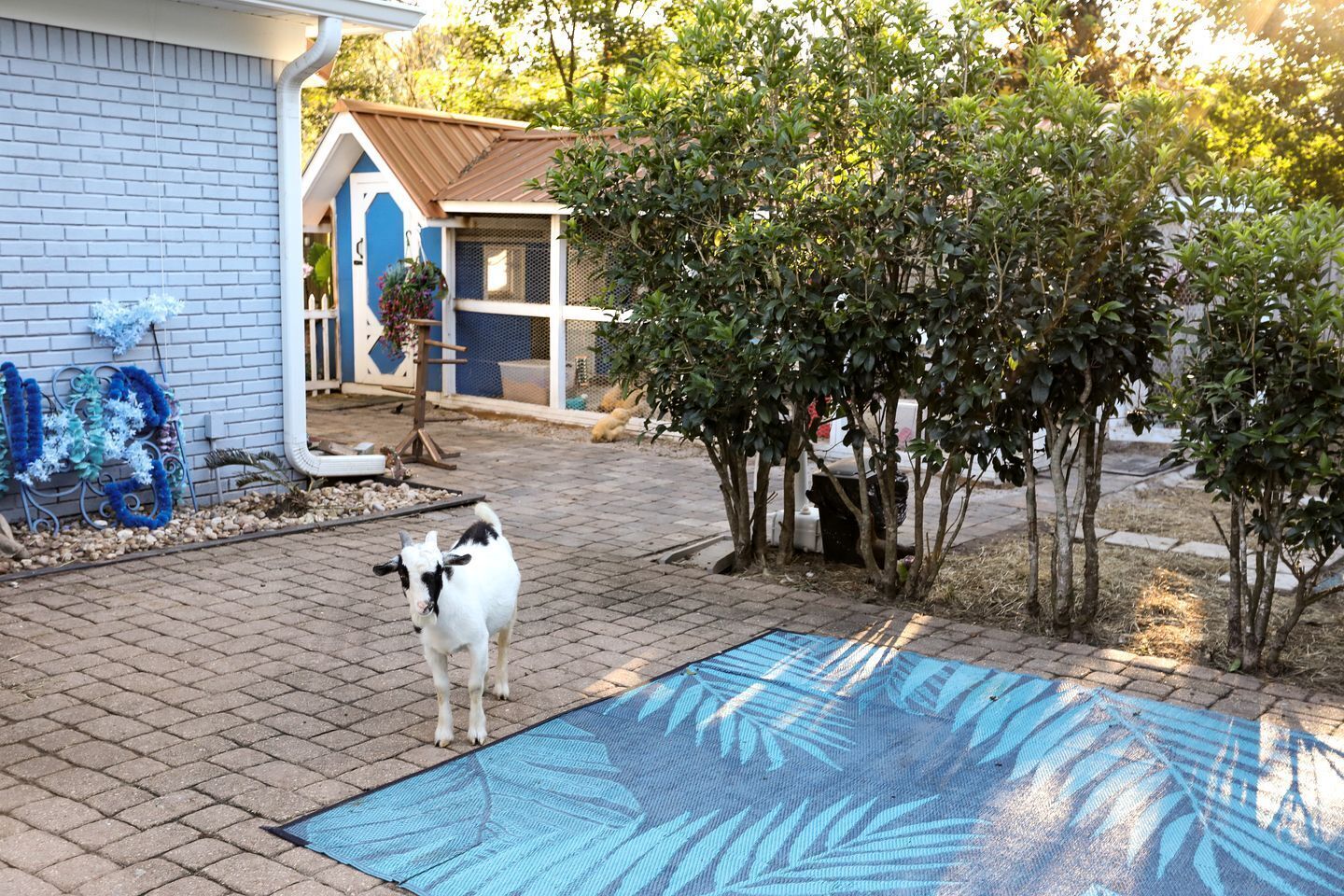 Overnattingsstedets uteområder