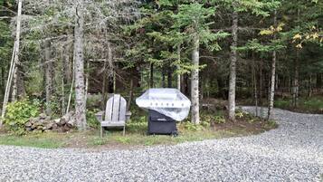 Un sentiero sterrato conduce a una sedia di legno e un barbecue coperto in una zona boschiva.