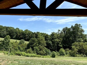 Vista desde una estructura de madera, con cielo despejado y una colina boscosa al fondo.