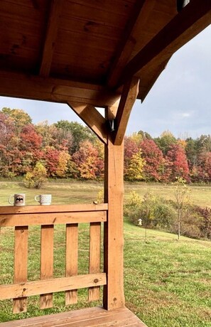 Property grounds - Cozy Studio Cabin Surrounded by Nature for a Peaceful Getaway near Gallipolis, Ohio (Gallipolis)