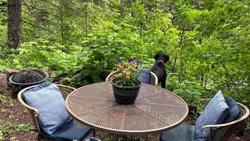 A round metal table with blue cushions, surrounded by chairs, in a forested area with a dog nearby.