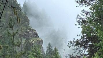 A forested area with a prominent rocky cliff and dense foliage.