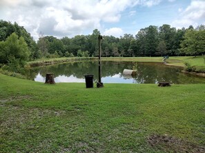Property grounds - Cozy Bunkhouse for Two Nestled in the Trees near Graysville, Tennessee (Graysville)