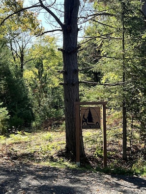 Detalle del exterior