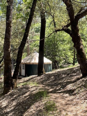 A small, single-story structure with a pitched roof, surrounded by trees in a forested area.