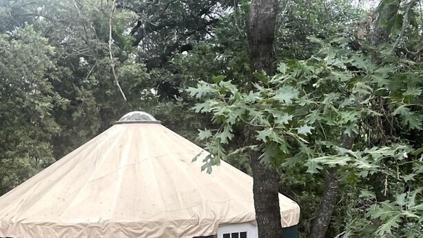 A small, single-room yurt with a green exterior and a beige roof, surrounded by trees and a wooden deck.