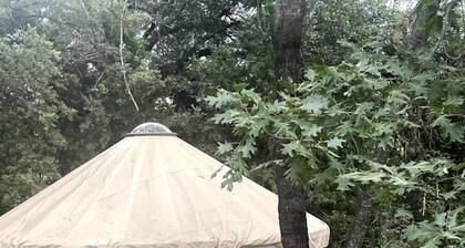 Cozy Yurt on a Hilltop Camping Compground for a Unique Glamping Getaway in North San Juan, California