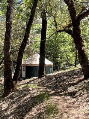 Uma pequena construção térrea com telhado inclinado, rodeada por árvores em uma área arborizada.