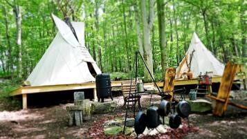 Two tents in a forest, a grill, and camping chairs.