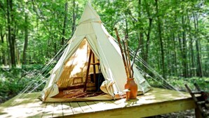 A tent set up in a forest with a view of the interior, including a bed and a table.