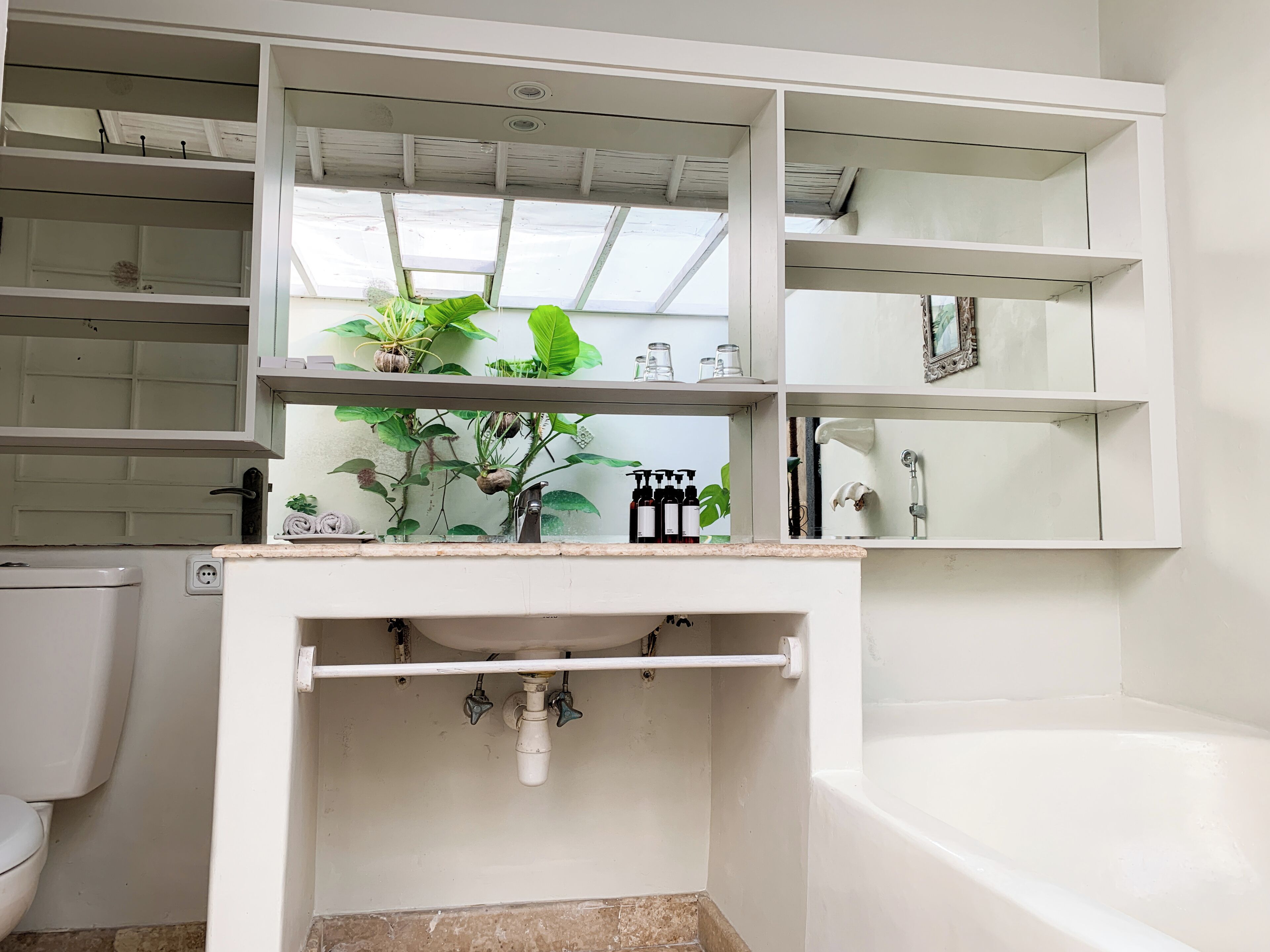 A bathroom with a white sink, a mirror above it, and a shelf with plants and toiletries.