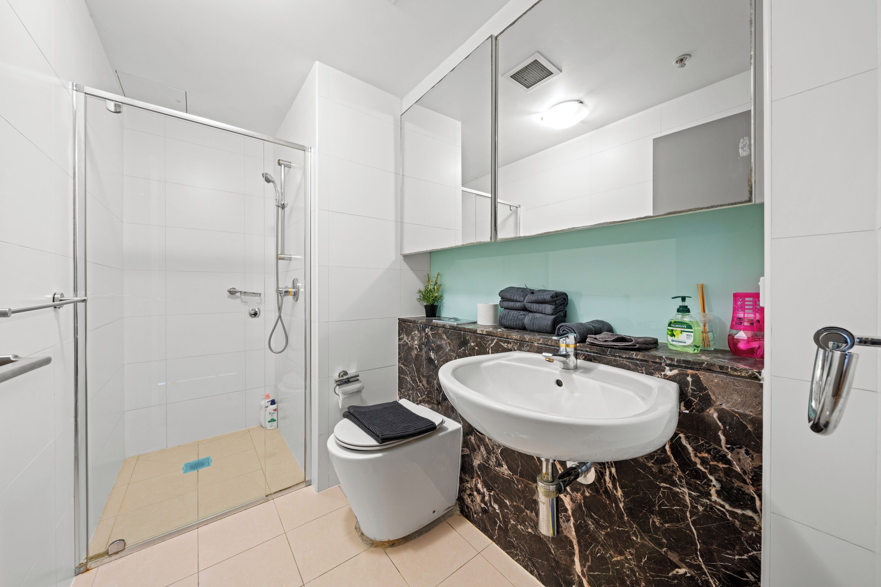 Shower, hair dryer, towels, soap