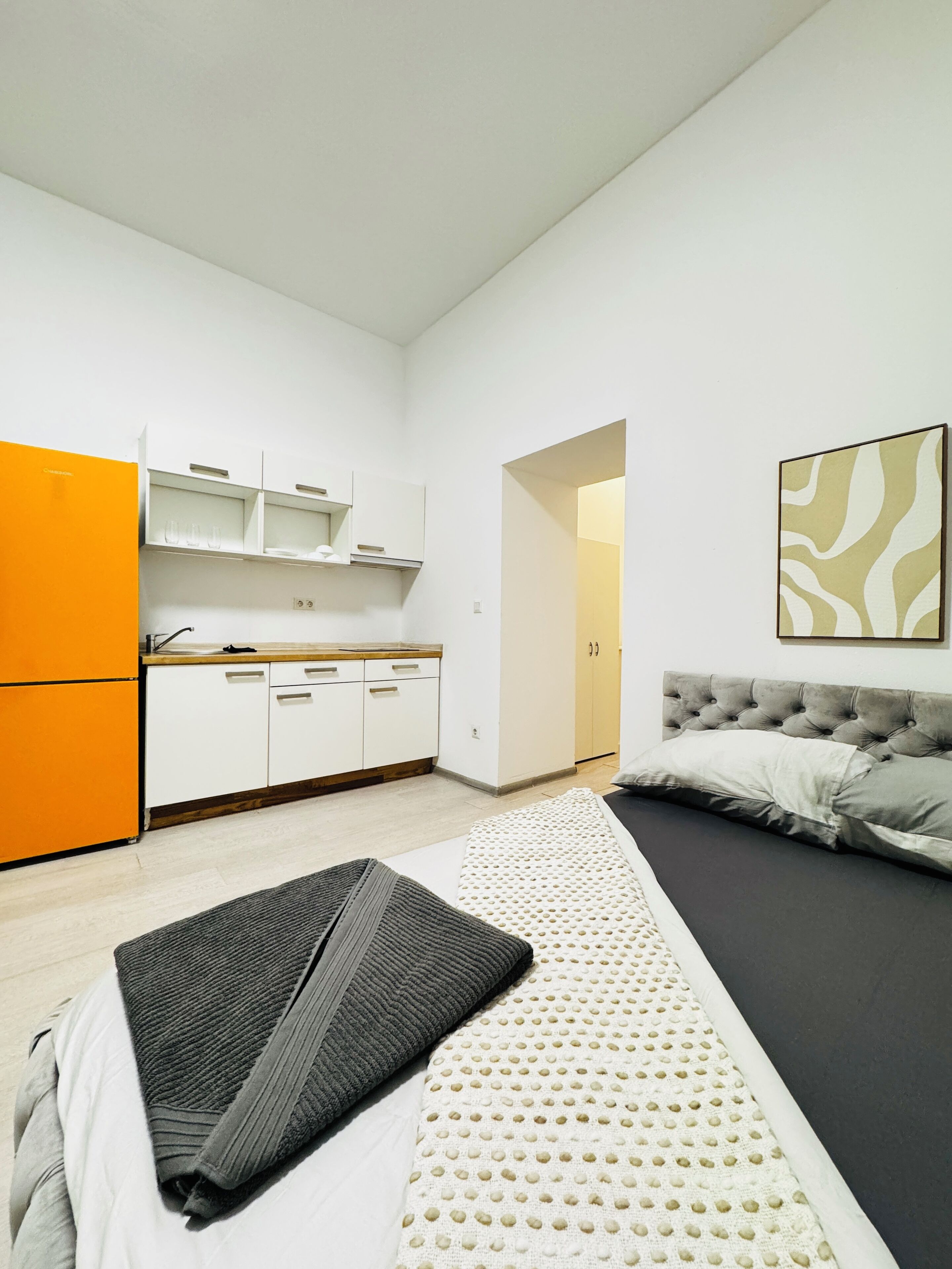 Apartament bàsic | Planxa i posts de planxar 
