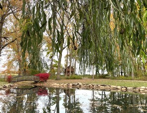 Jardines del alojamiento