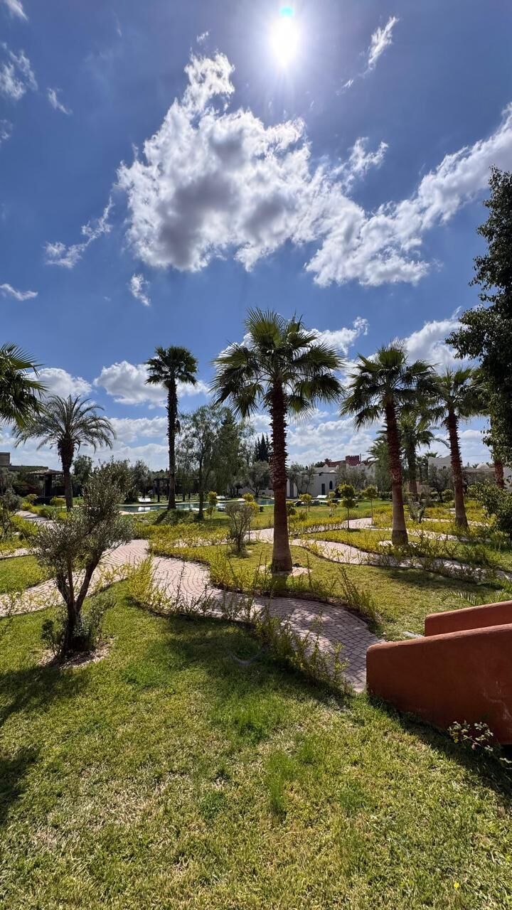 A landscaped garden with palm trees, a pathway, and a clear sky.