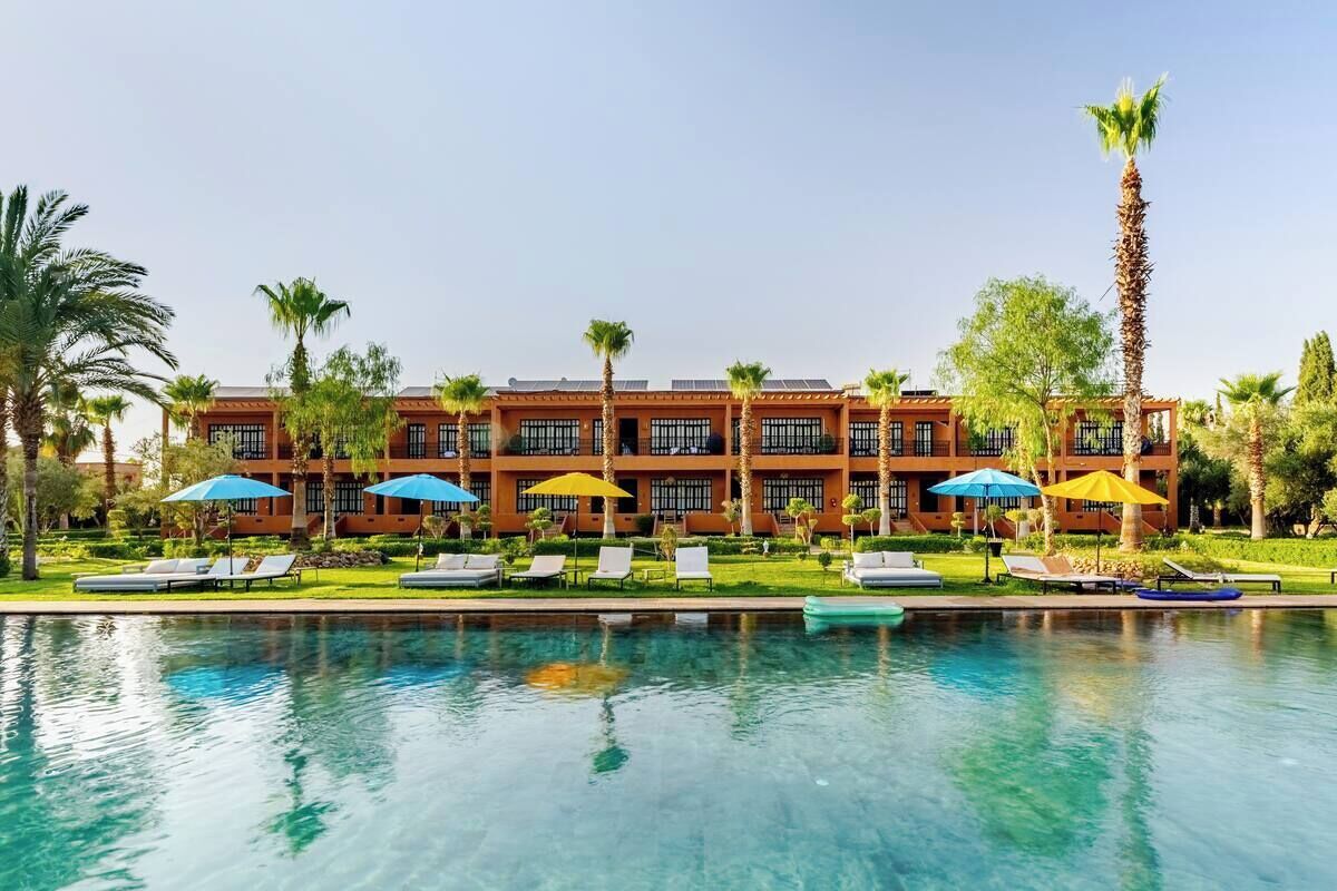 A hotel with a swimming pool, sun loungers, and palm trees.