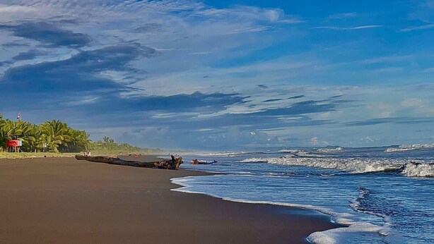 Una playa con un muelle de madera que se adentra en el océano, palmeras y un cielo despejado.
