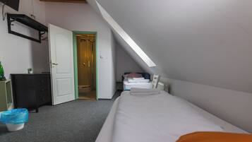 Economy Twin Room, Mountain View | Desk, cribs/infant beds, free WiFi, bed sheets