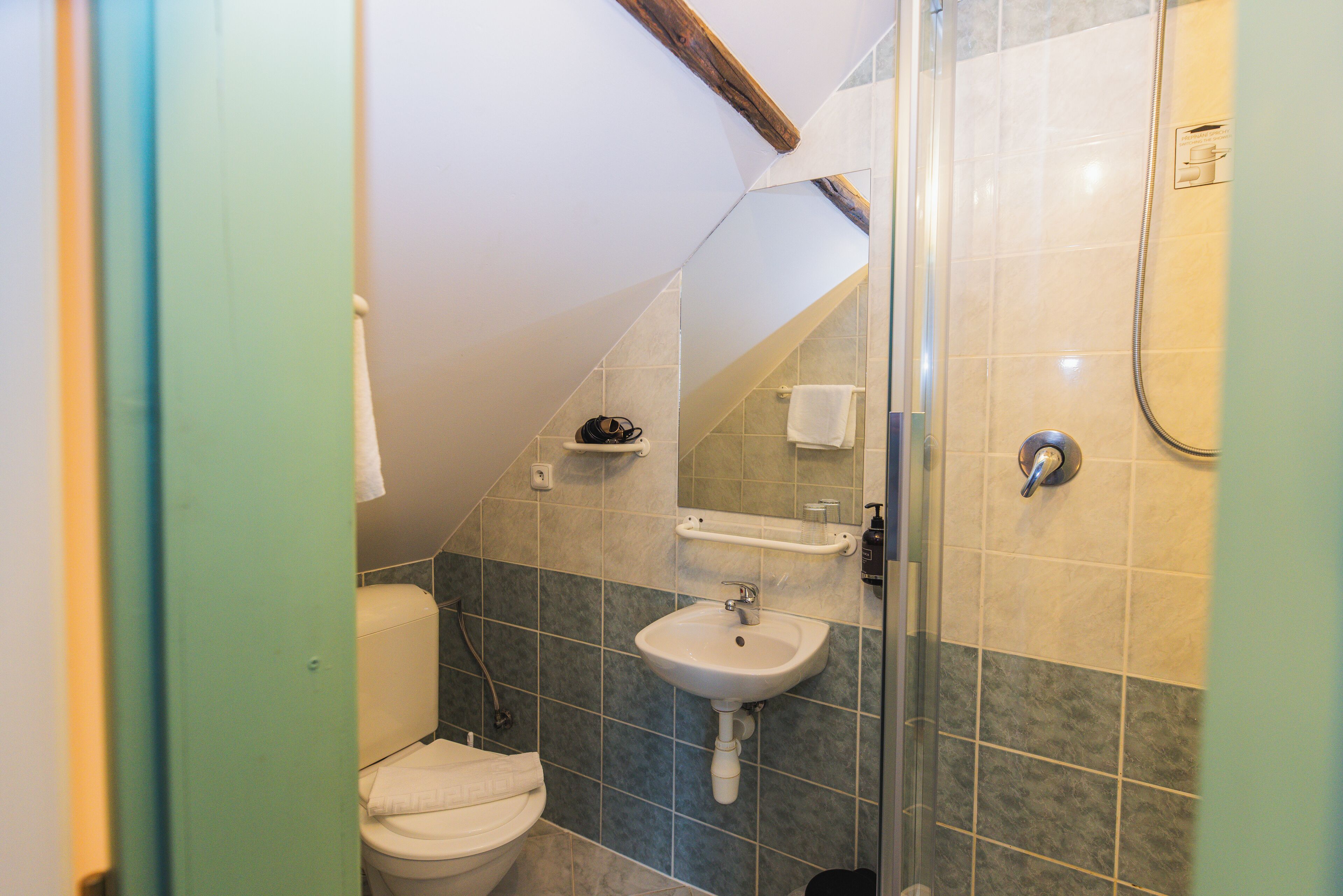 A bathroom with a toilet, sink, and shower.