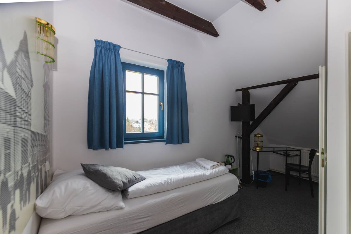 Standard Single Room, Mountain View | Desk, free WiFi