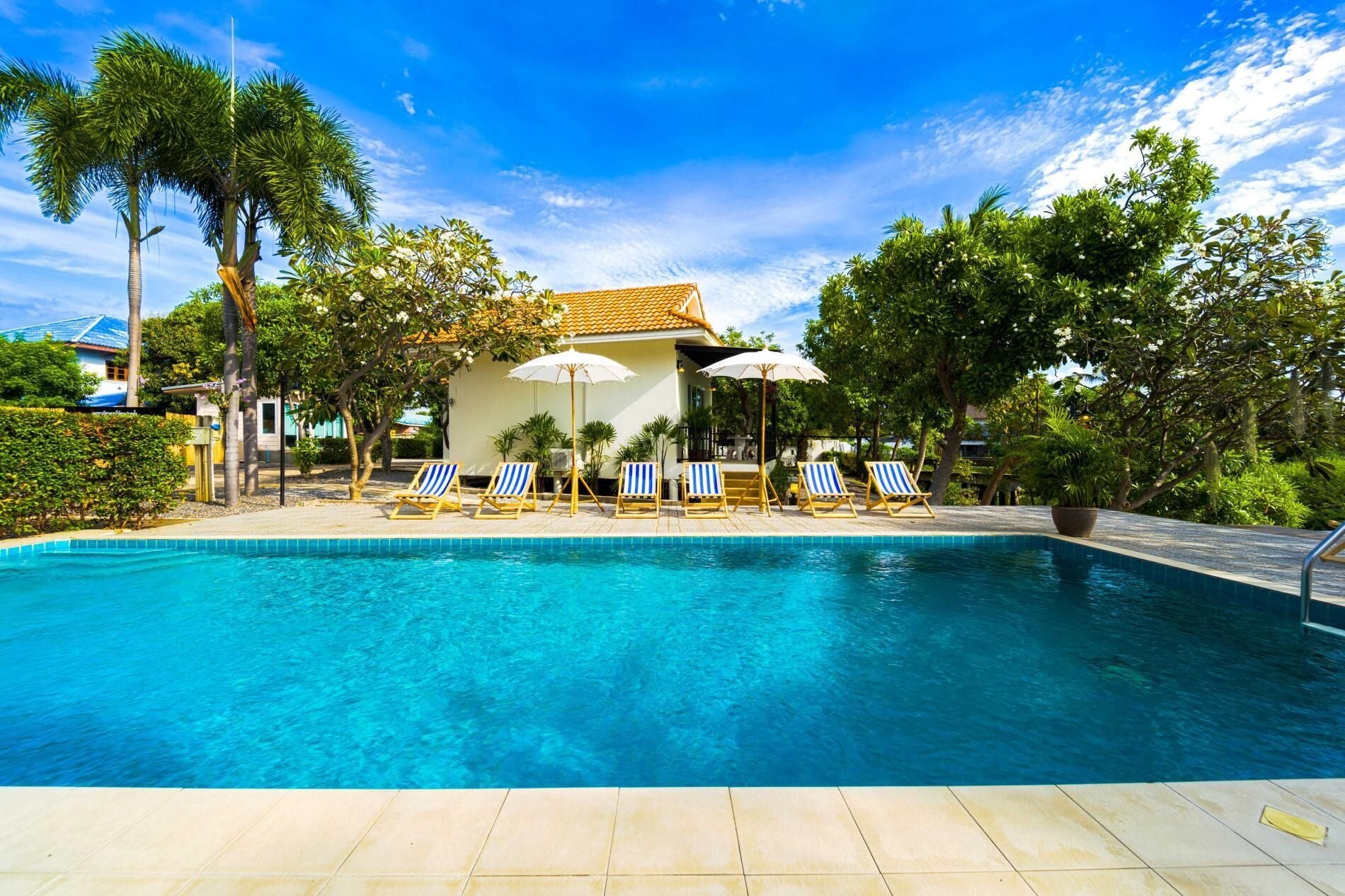 Outdoor pool, pool loungers