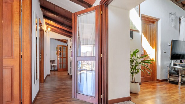 A hallway with wooden flooring, a sliding glass door, a potted plant, and a television on a stand. - Triple Room with Mountain View, Shared Terrace and Wi-Fi (Telti)