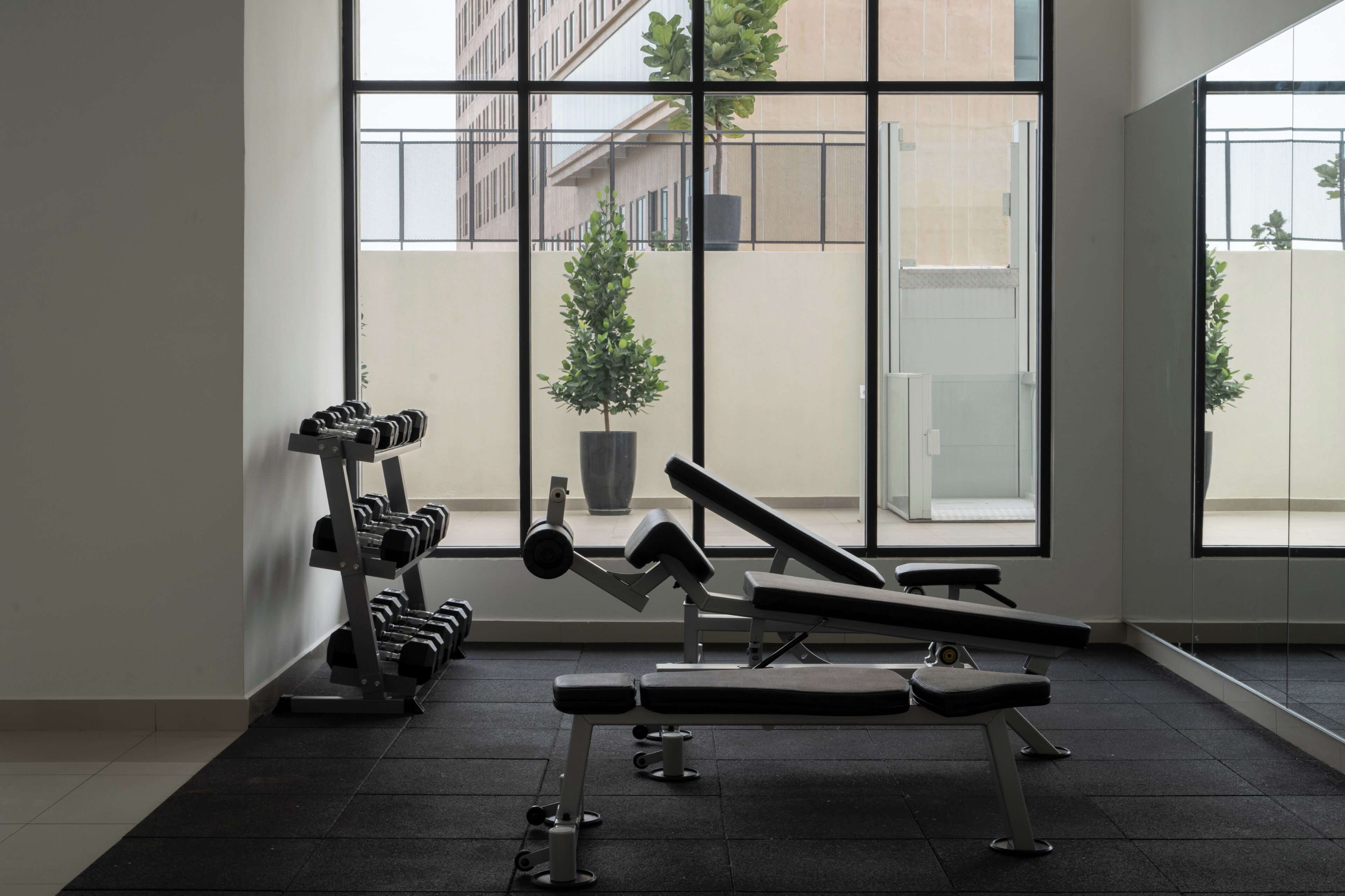 Un gimnasio con equipo de ejercicio, ventanas amplias y una planta en maceta.