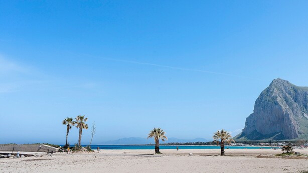 Une plage bordée de palmiers, une montagne et un ciel dégagé.