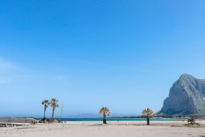 Een strand met palmbomen, een berg en een heldere lucht.