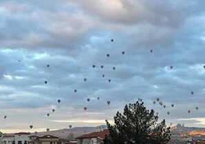 Eine Landschaft mit mehreren Heißluftballons am Himmel.