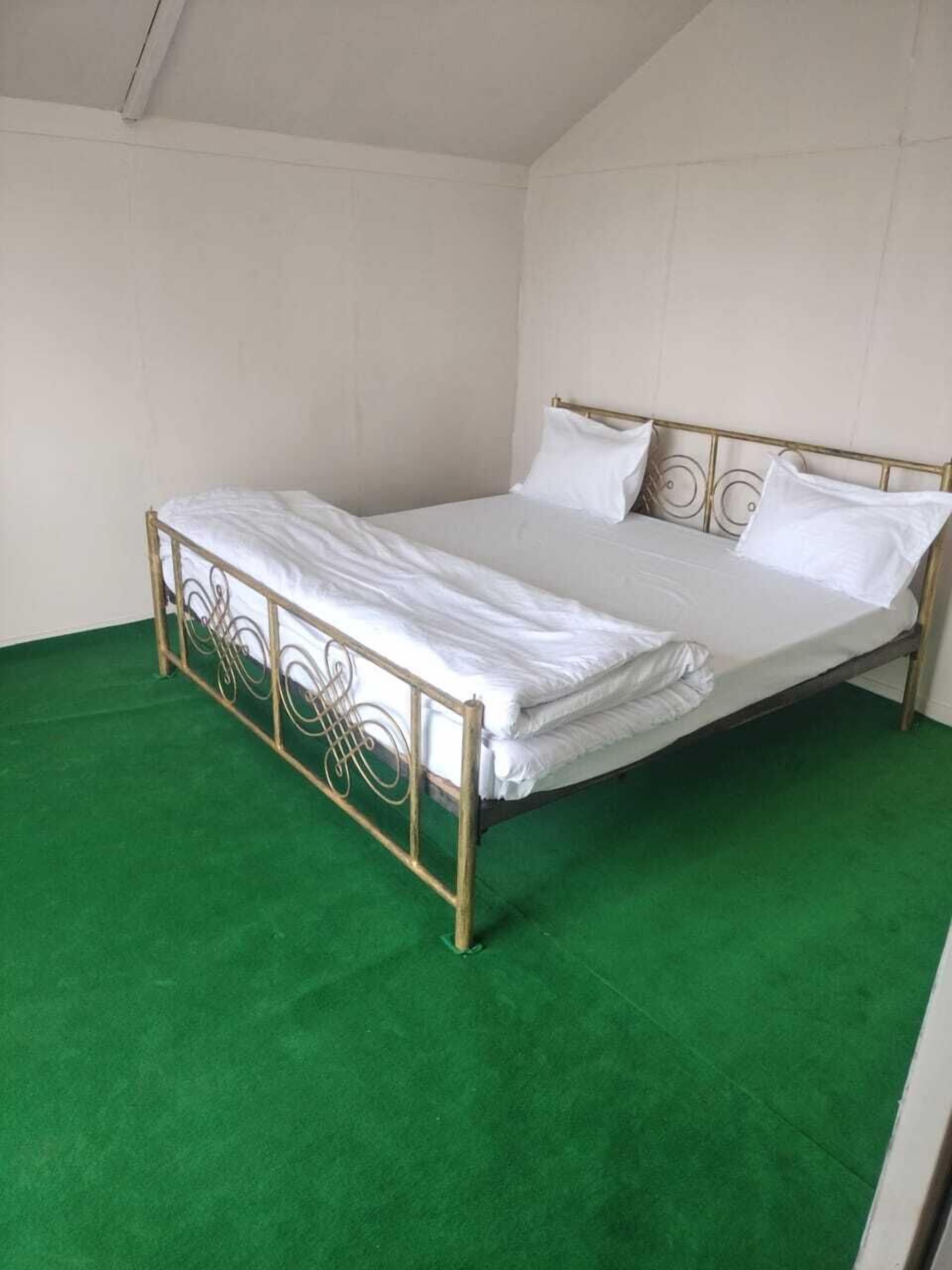 A single bed with a metal frame and white bedding in a room with green carpeting and white walls.