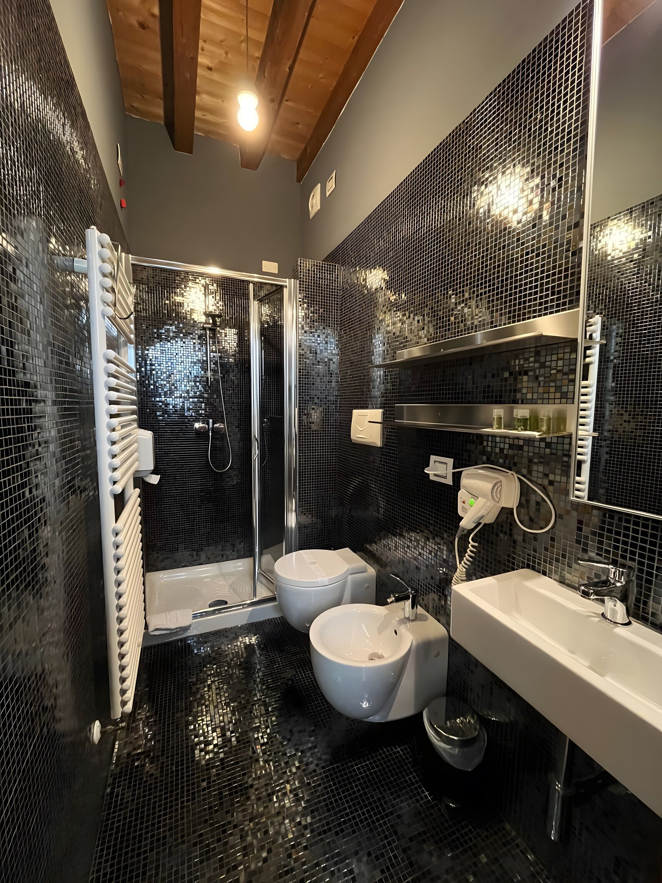 Shower, hair dryer, towels