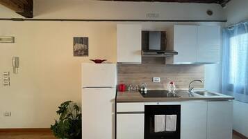 Fridge, oven, stovetop, cookware/dishes/utensils