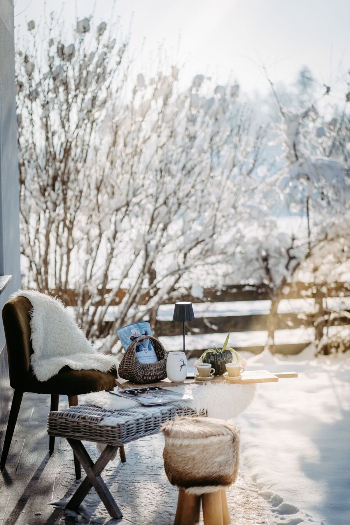 Image de profil de l’hôte