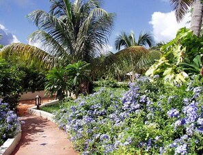 Property grounds - Waterfront luxury villa in Saint-Martin (Sint Maarten)