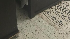 Siististi pedattu sänky, jossa on harmaa päiväpeite, kaksi rullalle taitettua pyyhettä ja kuviollinen tyyny.