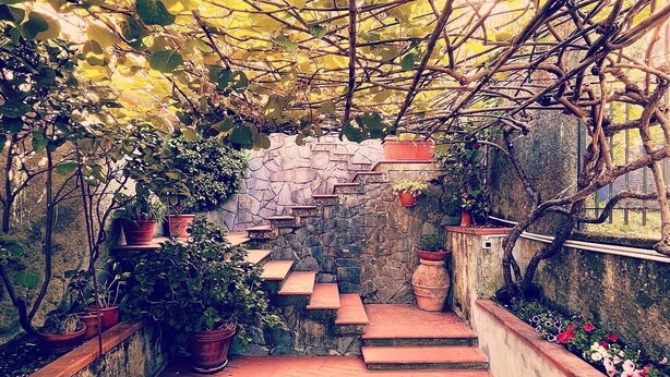 A covered outdoor area with a stone staircase leading to a higher level, surrounded by potted plants and a brick floor. - Rooms within 15 minutes' drive of Cinque terre station and the sea (Vezzano Ligure)