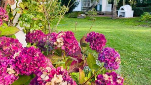 Unclassified image, 5 of 33, button - 2 Person Holiday Home in Ramdala (Ramdala)