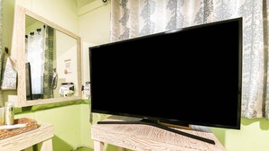 Habitación con televisor sobre un soporte de madera, un espejo y un secador de pelo en la pared.