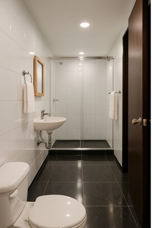 Ducha, toallas, jabón, papel higiénico