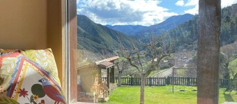 Suite Apartments Adult Only