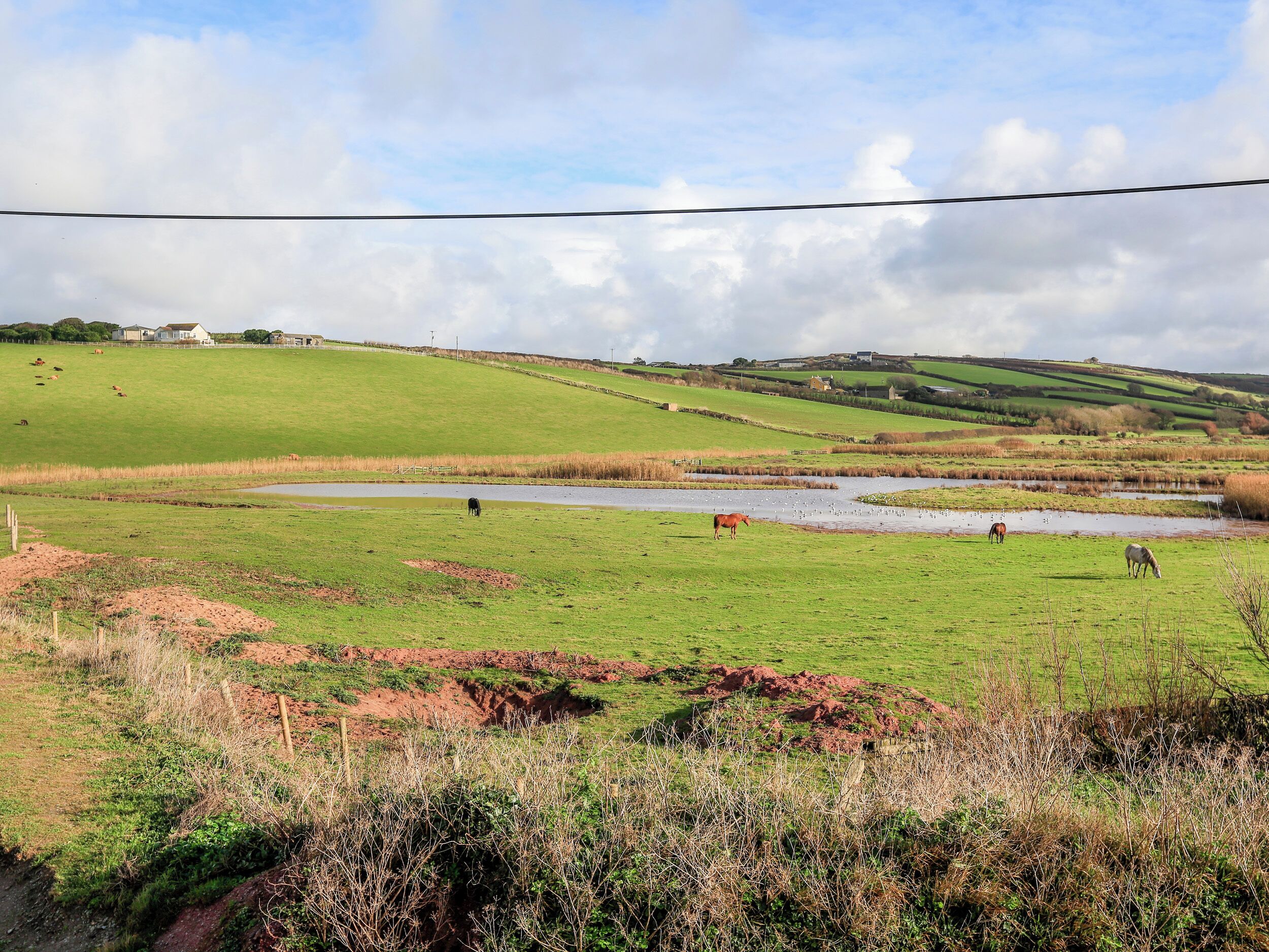 A rural landscape with a pond, grazing horses, and rolling hills.
